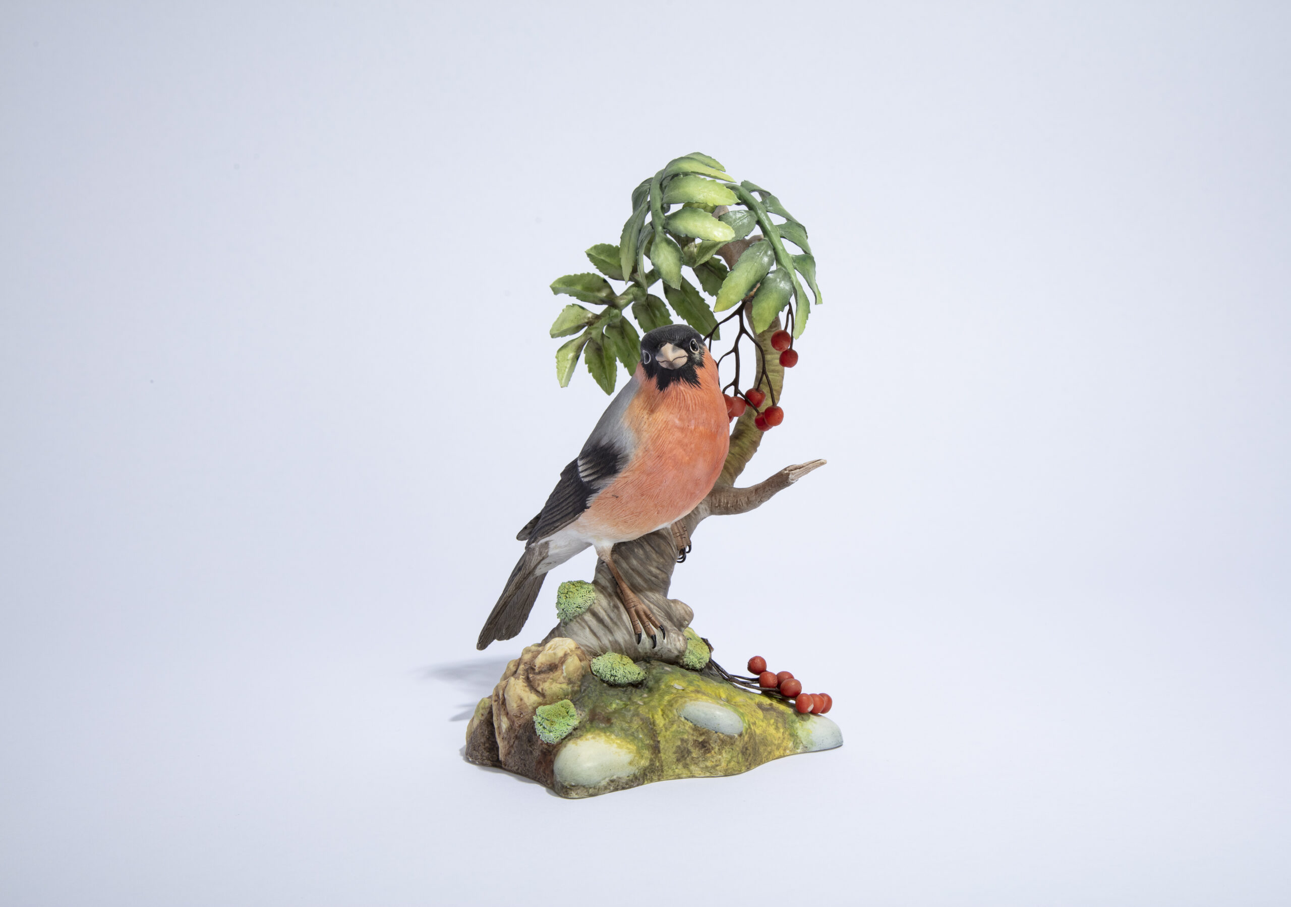 Bullfinch with Mountain Ash